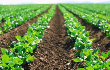 Page 3 e1461740885480 1024x395