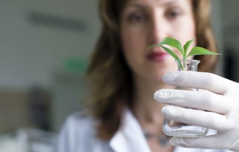 PlantsscientistDOWNSIZED